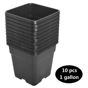 10-Pcs Black 1 Gallon Square Seedling Plastic Plant Pots