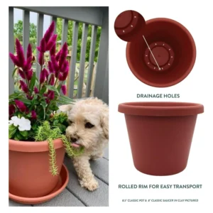 17 Inch Round Classic Planter - Plastic Plant - Clay Color